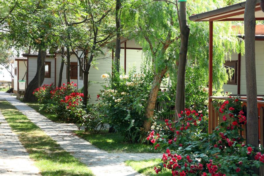 Pineto Beach Camping & Village, Pineto