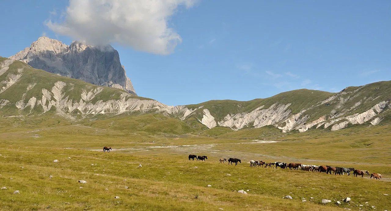 L'altopiano di Campo Imperatore, venti chilometri di prateria senza alberi